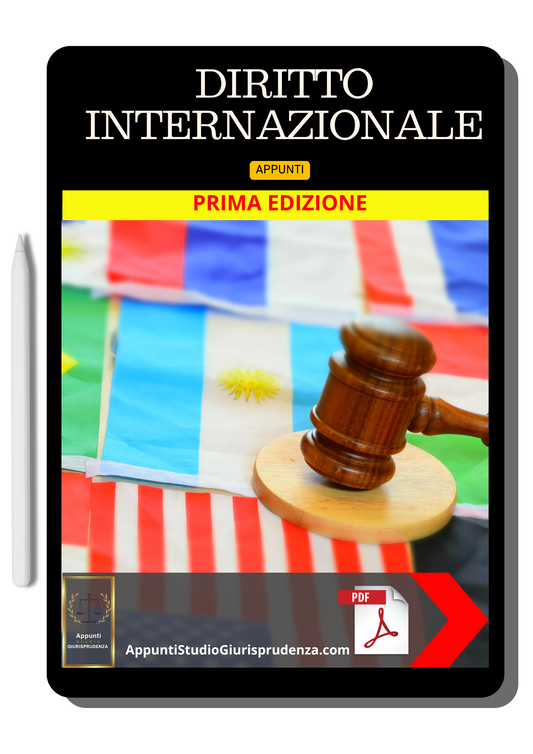 DIRITTO INTERNAZIONALE